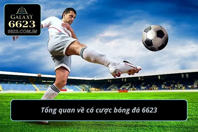 Cá Cược Bóng Đá Đẳng Cấp - Thắng Đậm Tiền Nhà Cái Cực Đã Thông tin chi tiết về cá cược môn bóng đá