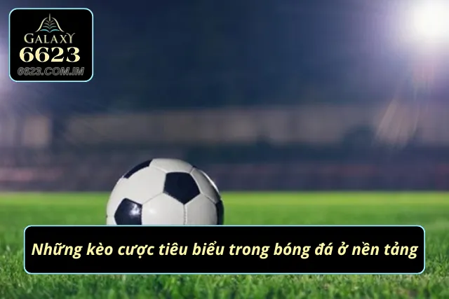 Cá Cược Bóng Đá Đẳng Cấp - Thắng Đậm Tiền Nhà Cái Cực Đã Nhiều kèo cược có tỷ lệ thưởng cao ở 6623