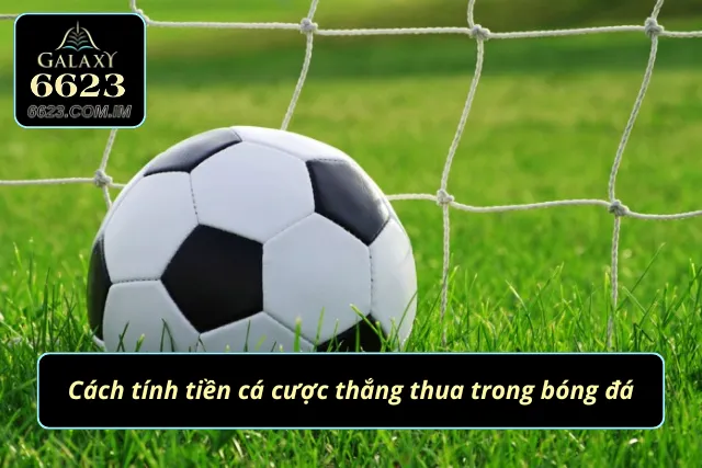 Cá Cược Bóng Đá Đẳng Cấp - Thắng Đậm Tiền Nhà Cái Cực Đã Nằm lòng cách tính tiền để nâng cao tỷ lệ thắng