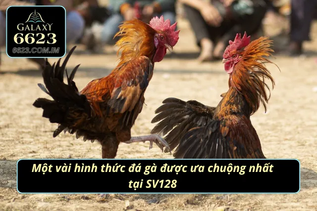 Những loại hình chọi kê được yêu thích trên trang web