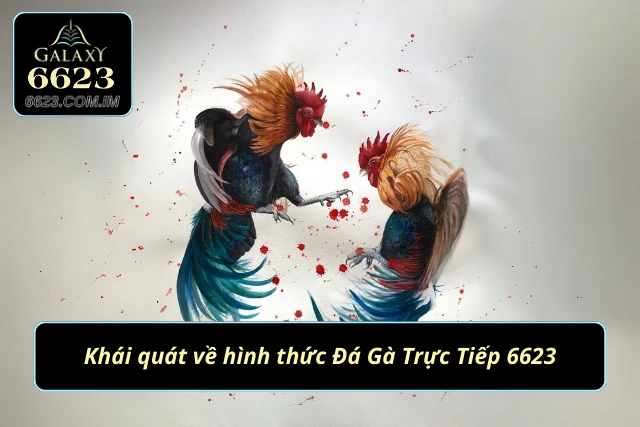 Khám phá hình thức đấu trường chọi gà kịch tính