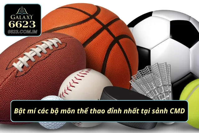 Thể Thao CMD - Nơi Hiện Thực Hóa Ước Mơ Làm Giàu Của Newbie Bật mí 4 bộ môn thể thao đỉnh nhất tại sảnh CMD