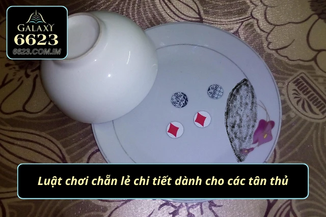 Xóc Đĩa - Trải Nghiệm Trò Chơi Cảm Giác Hồi Hộp Và Kịch Tính Quy tắc tham gia chẵn lẻ tỉ mỉ dành cho newbie